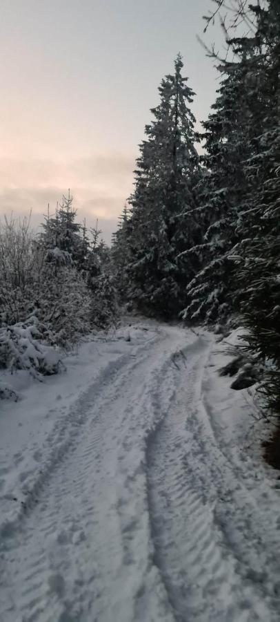 Bed and Breakfast Ferme La Joye Houffalize Exterior foto